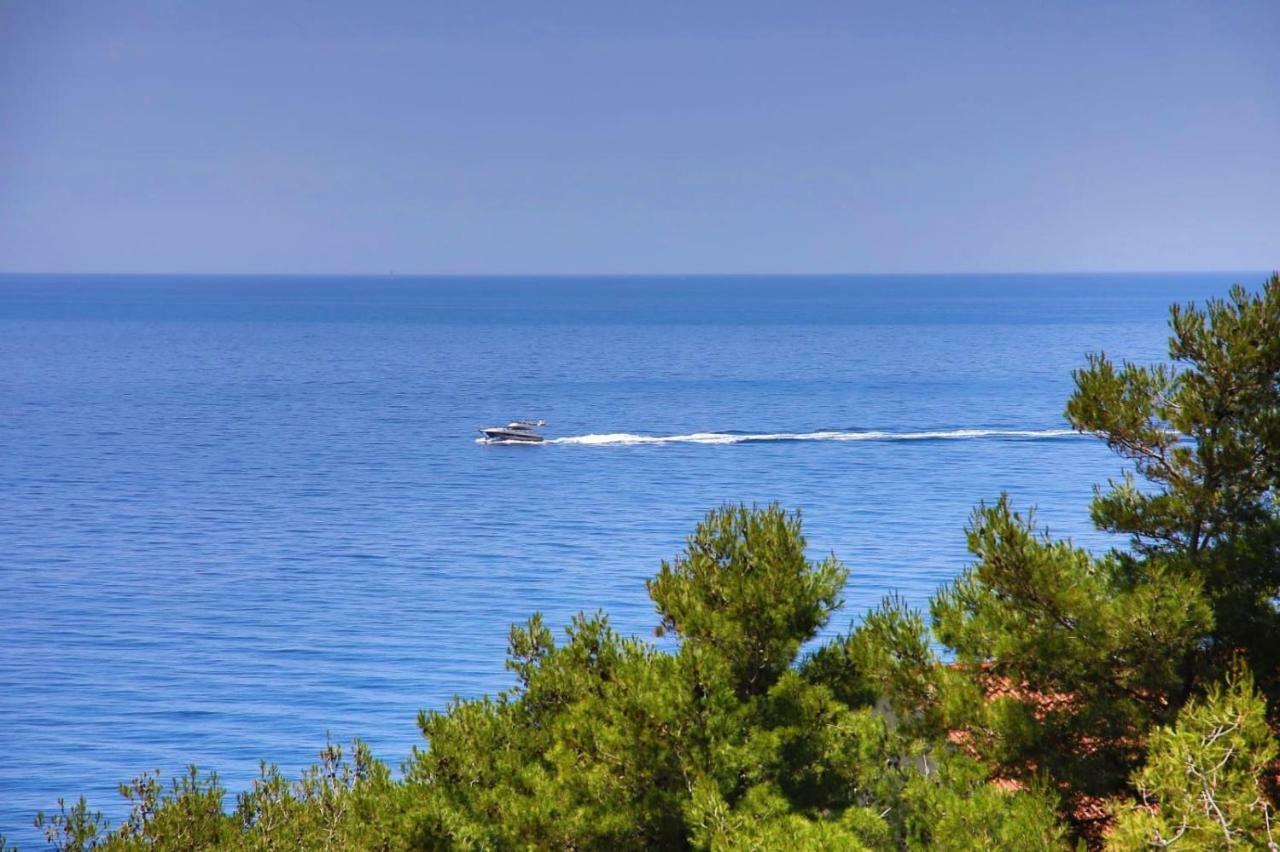 Redstone Luxury Apartments Sveta Nedelja  Dış mekan fotoğraf
